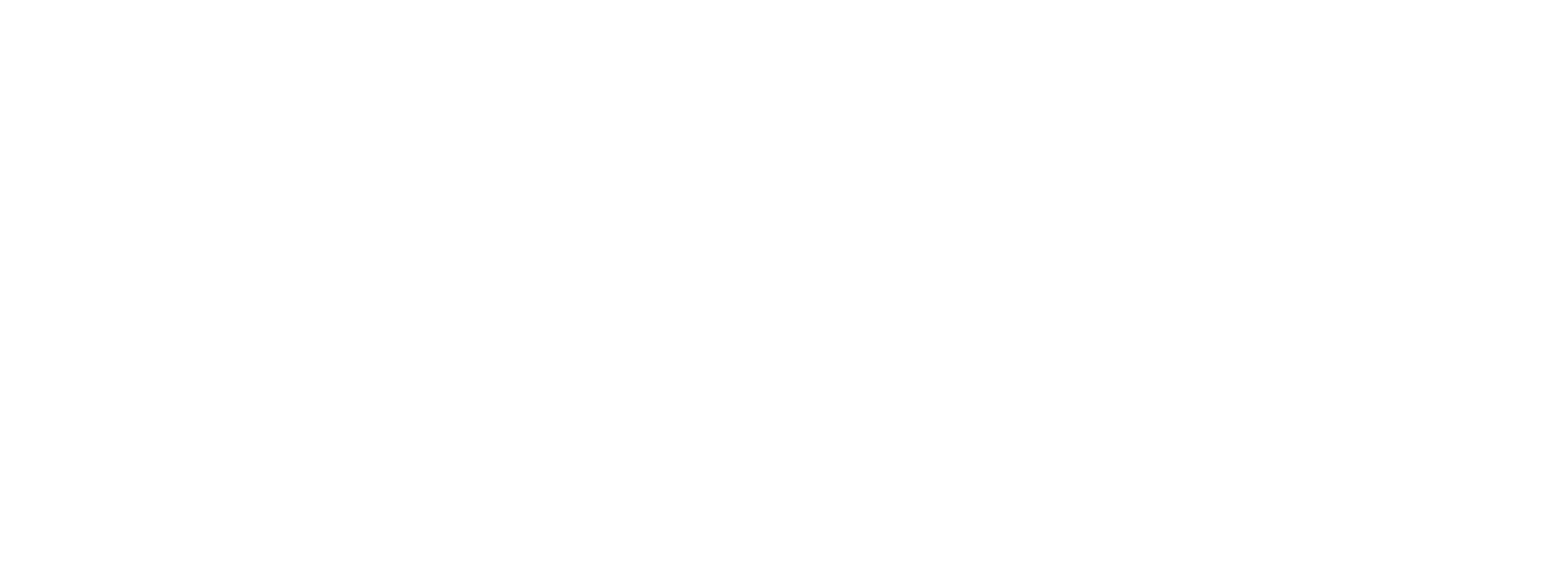 Logo kernique kein riegel nuss bites vegan glutenfrei zuckerarm